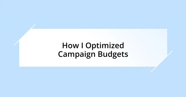 How I Optimized Campaign Budgets