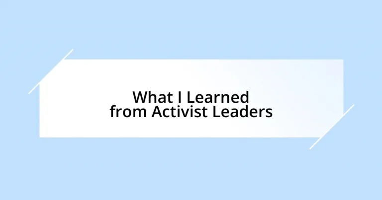 What I Learned from Activist Leaders