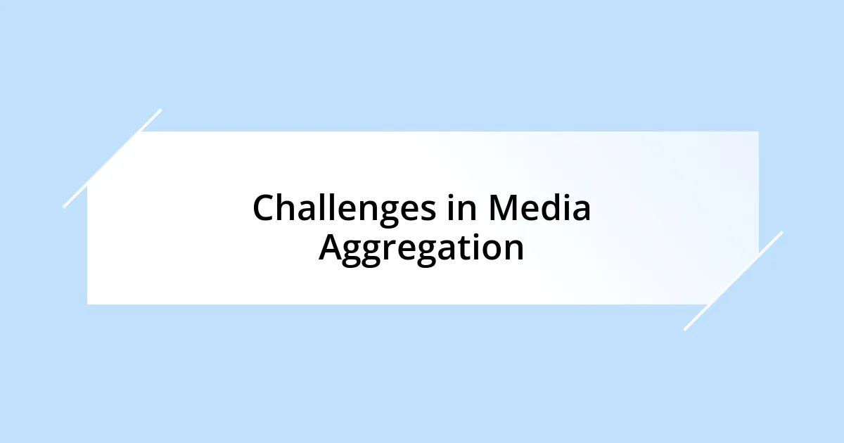 Challenges in Media Aggregation