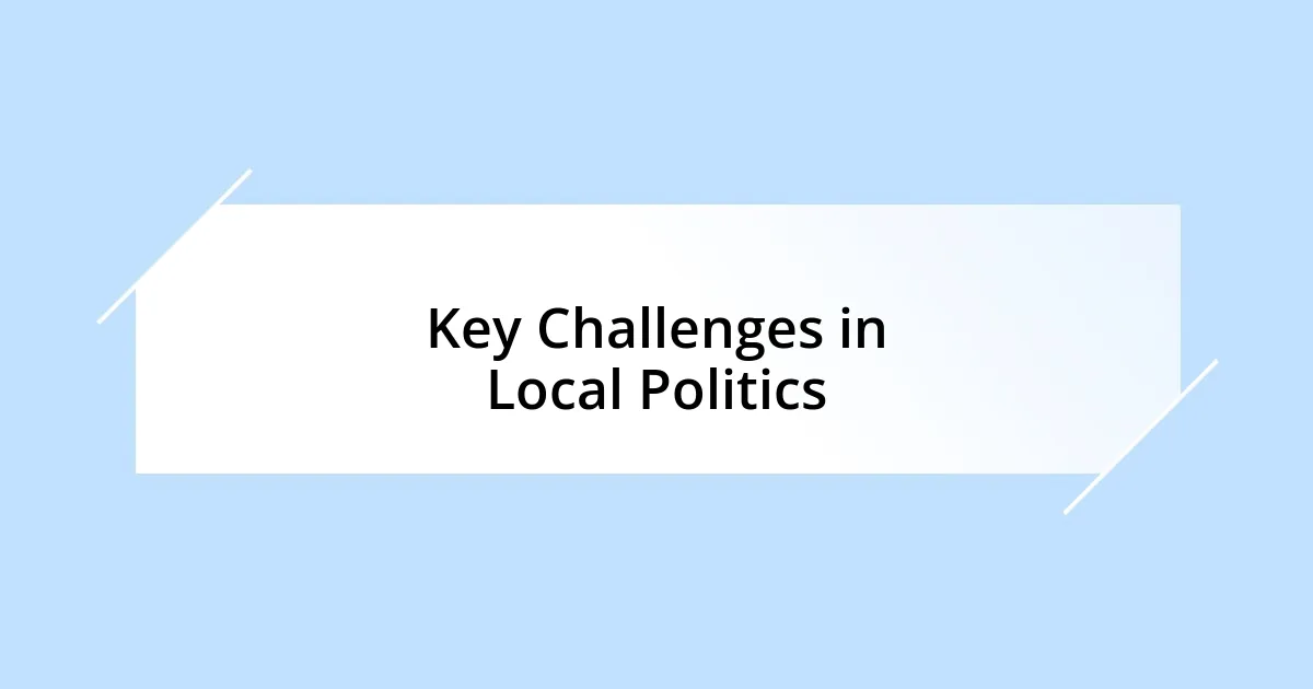 Key Challenges in Local Politics