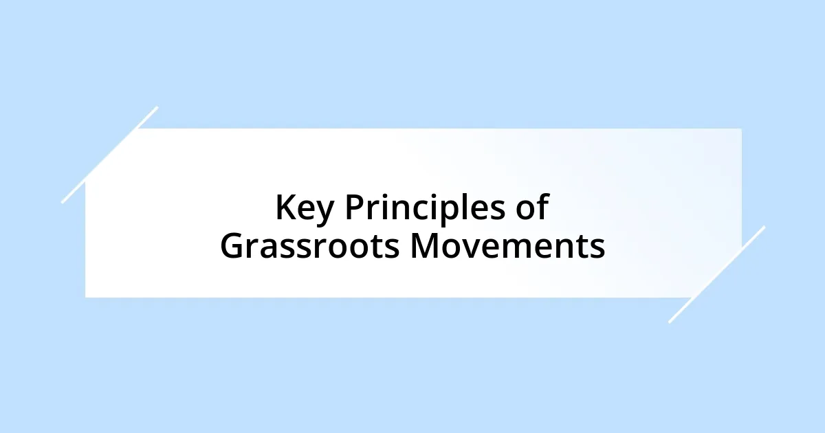 Key Principles of Grassroots Movements