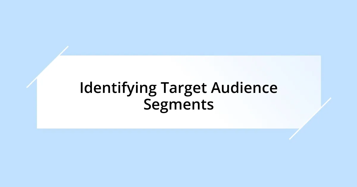 Identifying Target Audience Segments