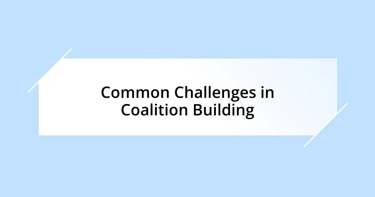 Common Challenges in Coalition Building