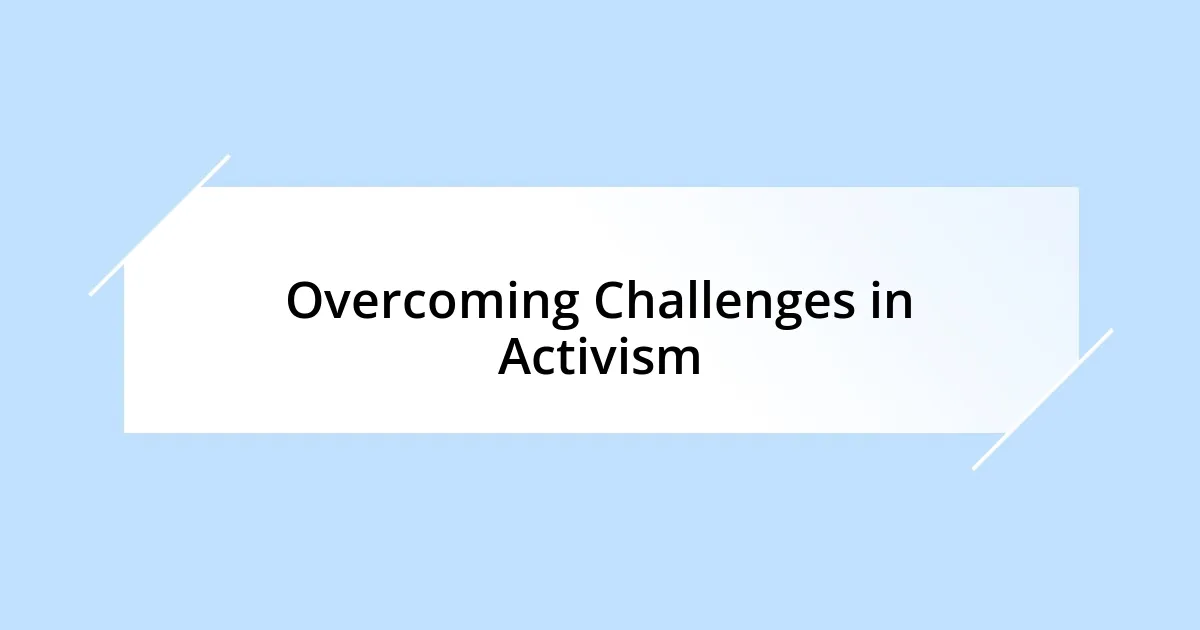 Overcoming Challenges in Activism